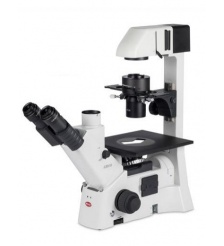 AE31E Microscopio Invertido Trinocular 100W